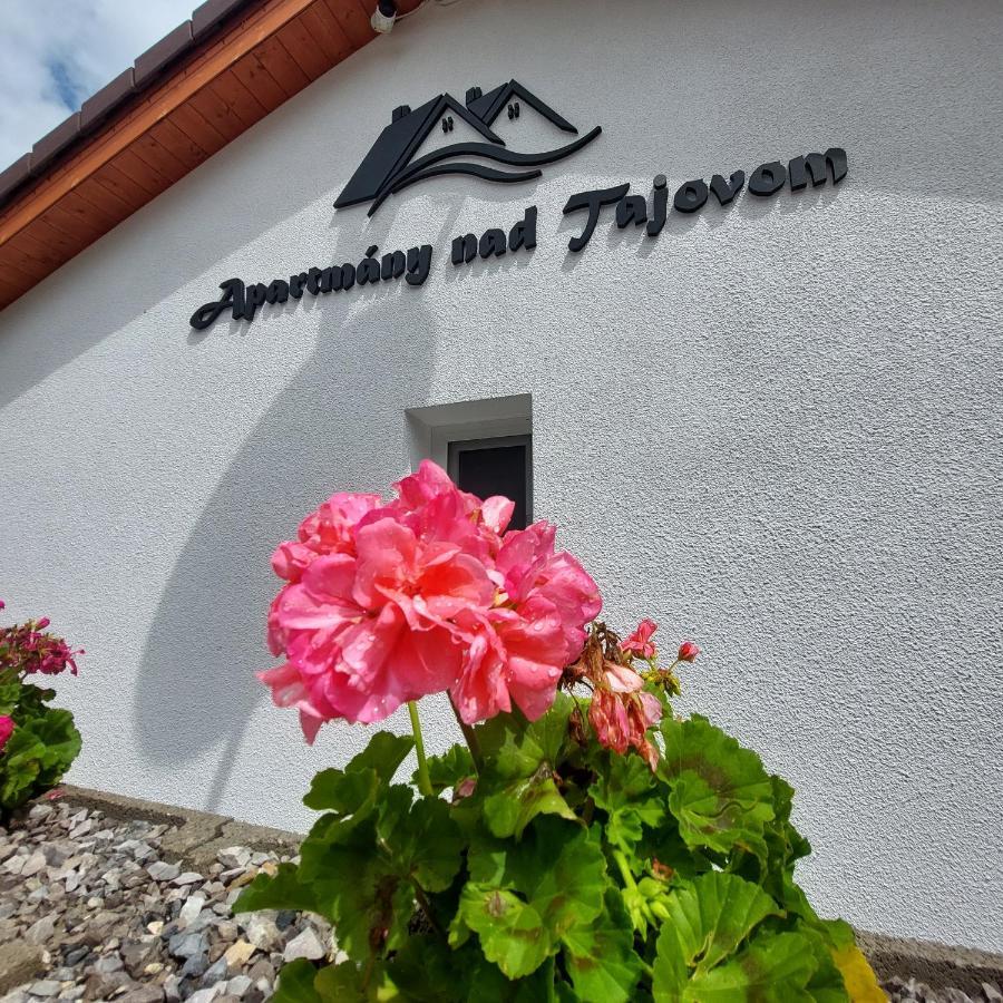 Apartmany Nad Tajovom Bańska Bystrzyca Zewnętrze zdjęcie